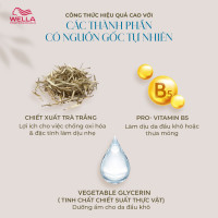 Dầu xả Wella Elements