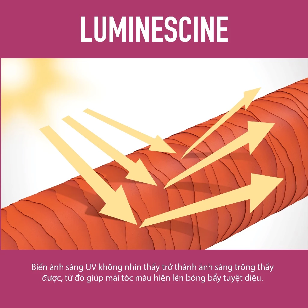 Dầu gội dưỡng màu Color - Goldwell